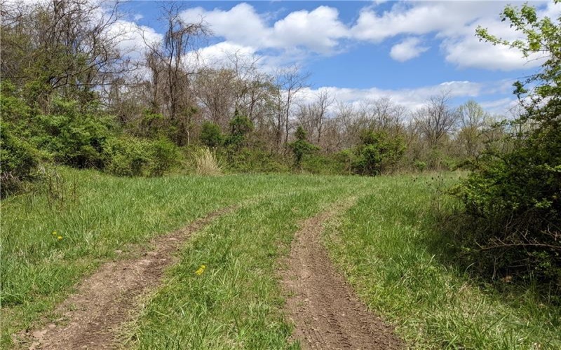 266 Lucky Ln, Dawson, 15428, ,Farm-acreage-lot,For Sale,None,Lucky Ln,1670347