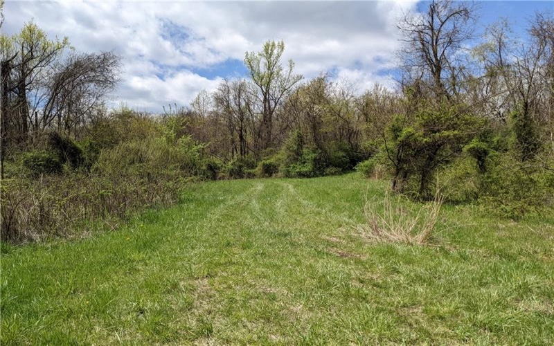 266 Lucky Ln, Dawson, 15428, ,Farm-acreage-lot,For Sale,None,Lucky Ln,1670347