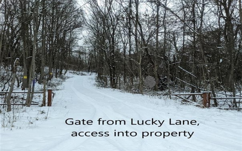 266 Lucky Ln, Dawson, 15428, ,Farm-acreage-lot,For Sale,None,Lucky Ln,1670347