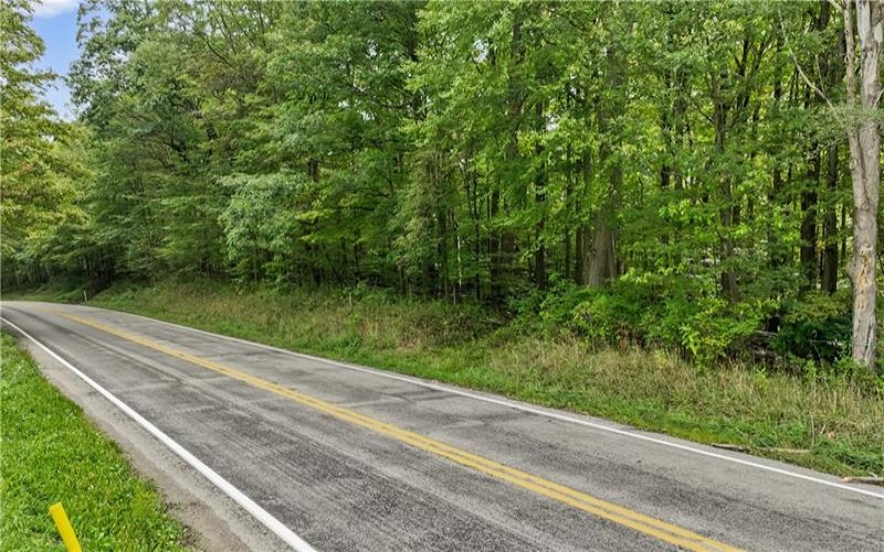 0 Trent Road, Champion, 15501, ,Farm-acreage-lot,For Sale,Trent Road,1670823