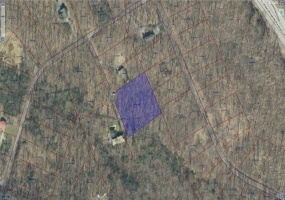 0 Larch Lane, Acme, 15610, ,Farm-acreage-lot,For Sale,Larch Lane,1671337