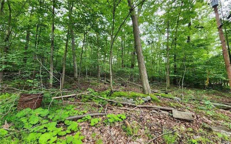 0 Larch Lane, Acme, 15610, ,Farm-acreage-lot,For Sale,Larch Lane,1671337