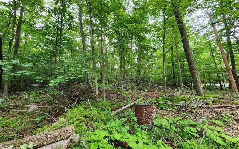 0 Larch Lane, Acme, 15610, ,Farm-acreage-lot,For Sale,Larch Lane,1671337