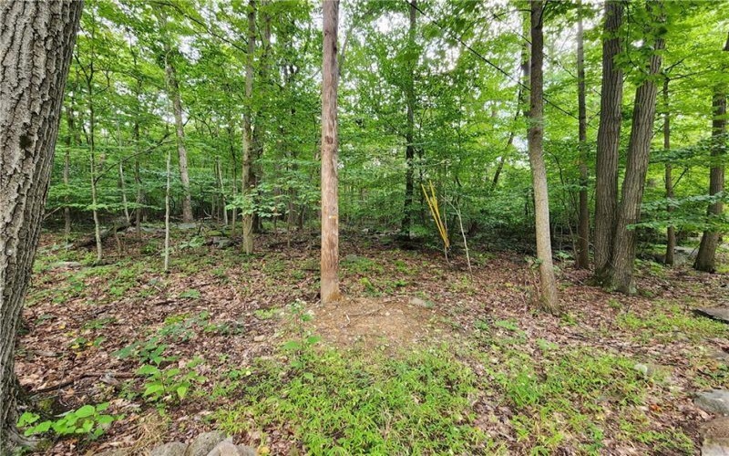 0 Larch Lane, Acme, 15610, ,Farm-acreage-lot,For Sale,Larch Lane,1671337