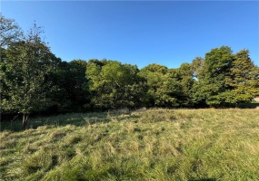 97 Christy Road, Eighty Four, 15330, ,Farm-acreage-lot,For Sale,Christy Road,1672000