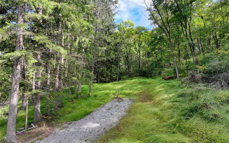 2127 Mallard Ln, Export, 15632, ,Farm-acreage-lot,For Sale,Mallard Ln,1672973