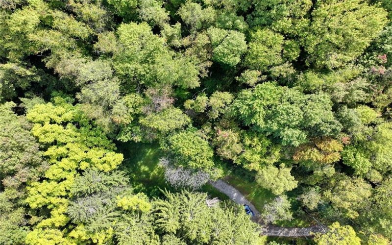 2127 Mallard Ln, Export, 15632, ,Farm-acreage-lot,For Sale,Mallard Ln,1672973
