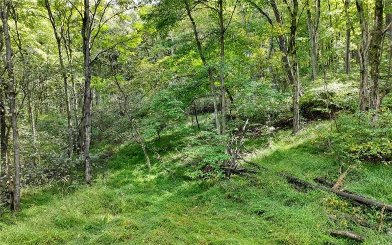 2127 Mallard Ln, Export, 15632, ,Farm-acreage-lot,For Sale,Mallard Ln,1672973