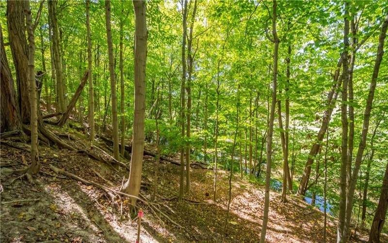 0 Piersol Avenue, Bentleyville, 15317, ,Farm-acreage-lot,For Sale,none,Piersol Avenue,1673737