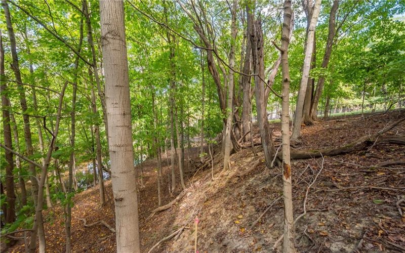 0 Piersol Avenue, Bentleyville, 15317, ,Farm-acreage-lot,For Sale,none,Piersol Avenue,1673737