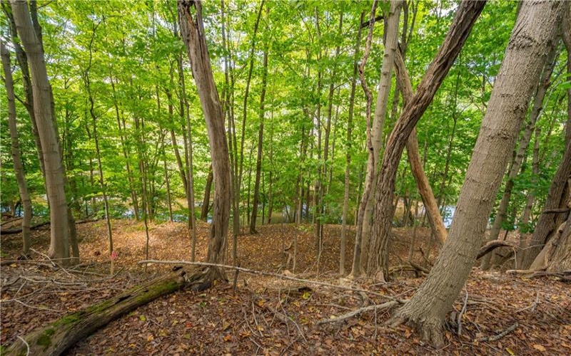 0 Piersol Avenue, Bentleyville, 15317, ,Farm-acreage-lot,For Sale,none,Piersol Avenue,1673737