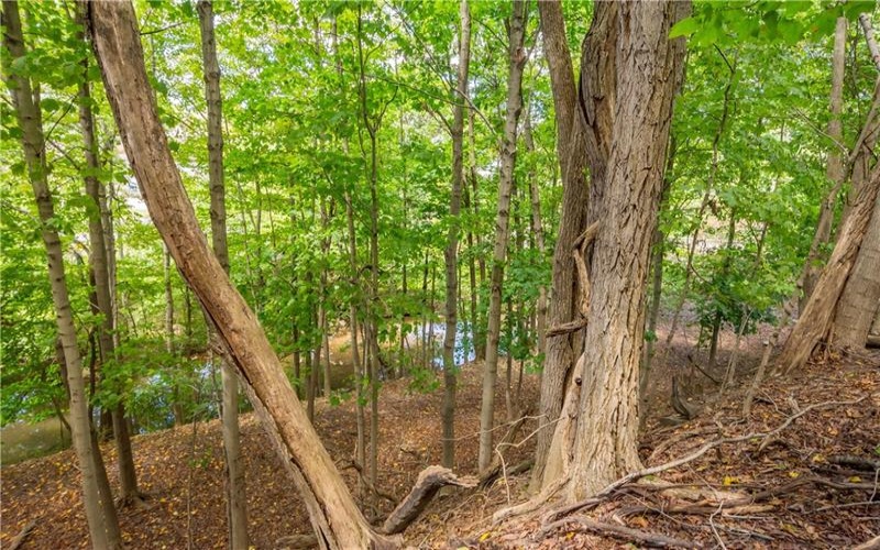 0 Piersol Avenue, Bentleyville, 15317, ,Farm-acreage-lot,For Sale,none,Piersol Avenue,1673737