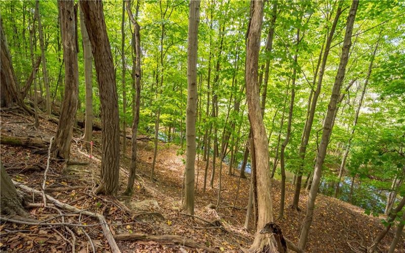 0 Piersol Avenue, Bentleyville, 15317, ,Farm-acreage-lot,For Sale,none,Piersol Avenue,1673737