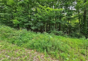 Lot 17/18 Tanager, New Alexandria, 15670, ,Farm-acreage-lot,For Sale,Tanager,1673638