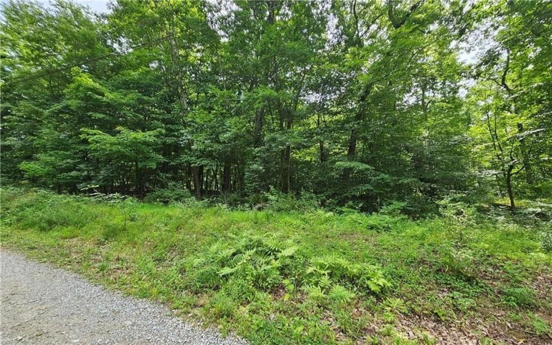Lot 17/18 Tanager, New Alexandria, 15670, ,Farm-acreage-lot,For Sale,Tanager,1673638