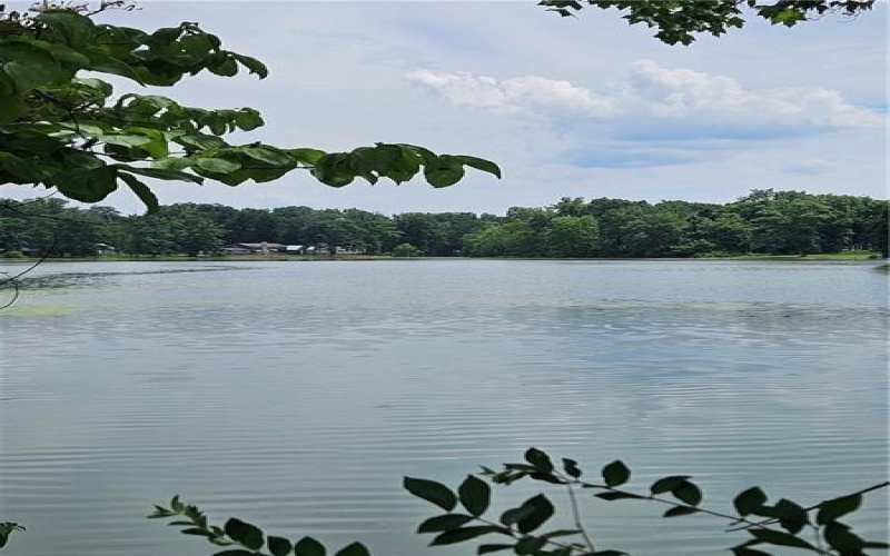 Lot 17/18 Tanager, New Alexandria, 15670, ,Farm-acreage-lot,For Sale,Tanager,1673638