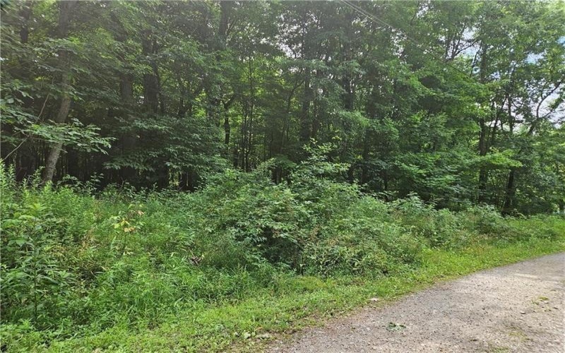 Lot 17/18 Tanager, New Alexandria, 15670, ,Farm-acreage-lot,For Sale,Tanager,1673638