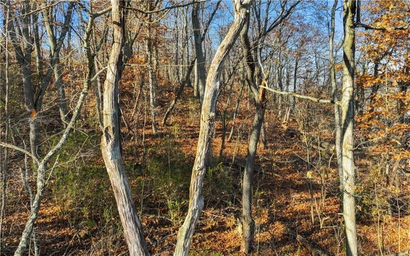 0 Smith Township State Road, Burgettstown, 15021, ,Farm-acreage-lot,For Sale,Smith Township State Road,1673947