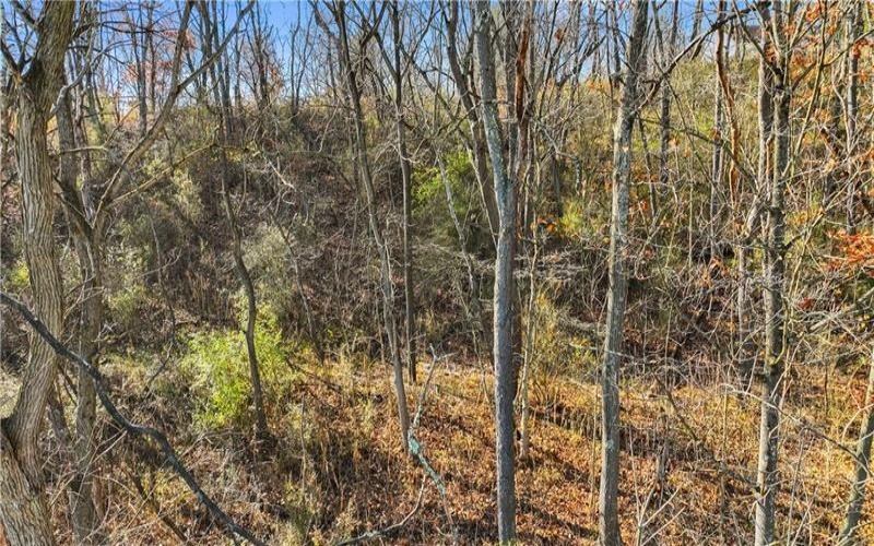 0 Smith Township State Road, Burgettstown, 15021, ,Farm-acreage-lot,For Sale,Smith Township State Road,1673947