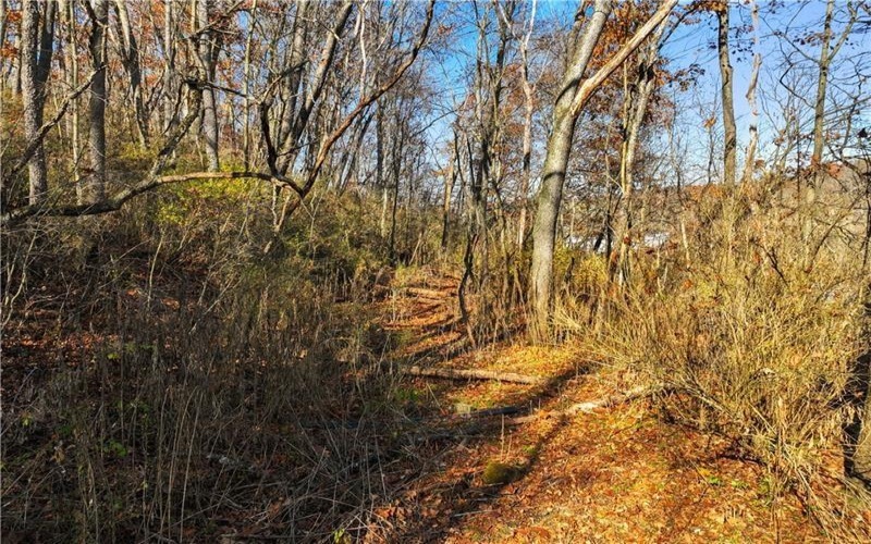 0 Smith Township State Road, Burgettstown, 15021, ,Farm-acreage-lot,For Sale,Smith Township State Road,1673947