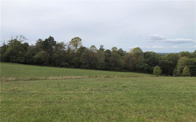 819 DINNER BELL OHIOPYLE ROAD, Ohiopyle, 15470, 3 Bedrooms Bedrooms, ,1 BathroomBathrooms,Farm-acreage-lot,For Sale,DINNER BELL OHIOPYLE ROAD,1673994