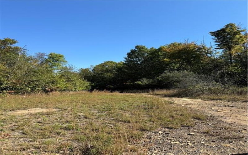 Lot 1 Hope Hollow Rd, Lake Lynn, 15451, ,Farm-acreage-lot,For Sale,Hope Hollow Rd,1674050