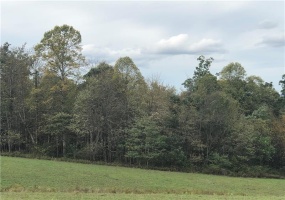 0 DINNER BELL OHIOPYLE ROAD, Ohiopyle, 15470, ,Farm-acreage-lot,For Sale,none,DINNER BELL OHIOPYLE ROAD,1674170