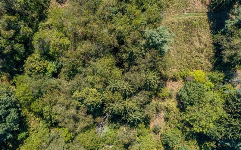 632 Waynesburg Road, Washington, 15301, ,Farm-acreage-lot,For Sale,none,Waynesburg Road,1674389