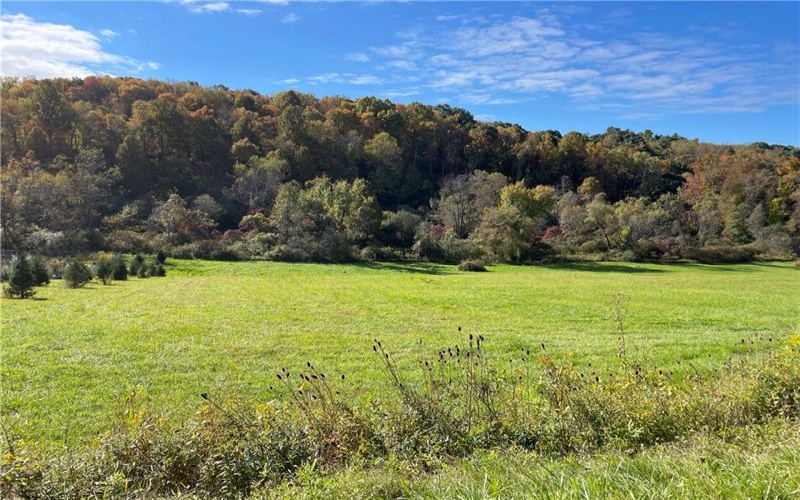 Lot 1 Shag Bark Grove / Mamont Road, Murrysville, 15668, ,Farm-acreage-lot,For Sale,None,Shag Bark Grove / Mamont Road,1674922