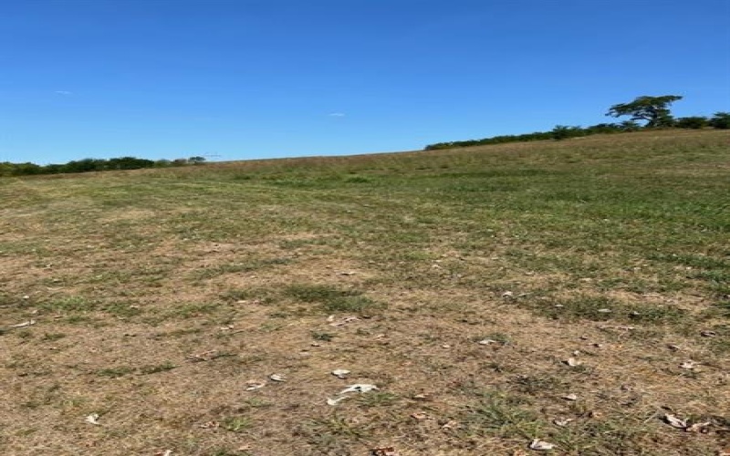 0 Tanner Lane, Latrobe, 15650, ,Farm-acreage-lot,For Sale,one storage building,Tanner Lane,1675041