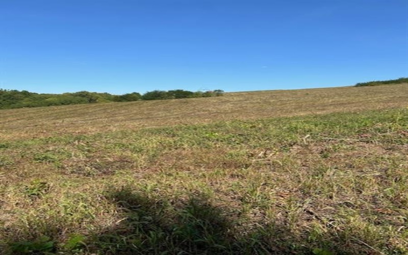 0 Tanner Lane, Latrobe, 15650, ,Farm-acreage-lot,For Sale,one storage building,Tanner Lane,1675041