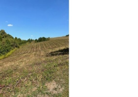 0 Tanner Lane, Latrobe, 15650, ,Farm-acreage-lot,For Sale,one storage building,Tanner Lane,1675041
