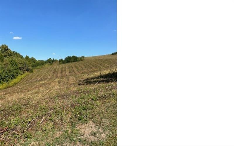0 Tanner Lane, Latrobe, 15650, ,Farm-acreage-lot,For Sale,one storage building,Tanner Lane,1675041