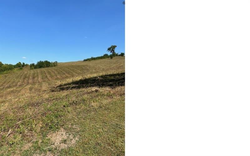 0 Tanner Lane, Latrobe, 15650, ,Farm-acreage-lot,For Sale,one storage building,Tanner Lane,1675041
