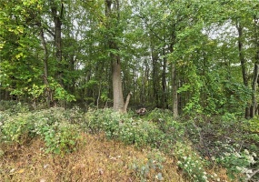 000 Lot 22 Dally Road, Long Branch, 15423, ,Farm-acreage-lot,For Sale,None,Dally Road,1675107