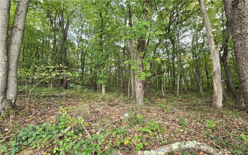 000 Lot 22 Dally Road, Long Branch, 15423, ,Farm-acreage-lot,For Sale,None,Dally Road,1675107