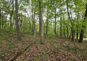 000 Lot 23 Dally Road, Long Branch, 15423, ,Farm-acreage-lot,For Sale,None,Dally Road,1675110