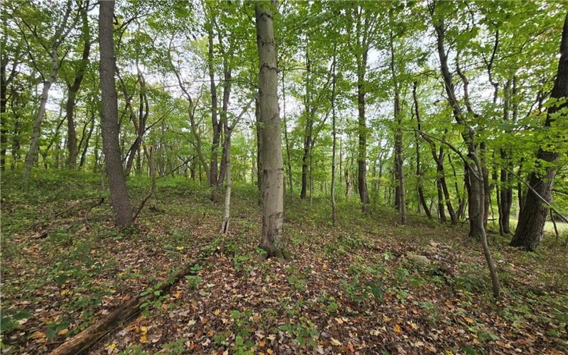 000 Lot 23 Dally Road, Long Branch, 15423, ,Farm-acreage-lot,For Sale,None,Dally Road,1675110