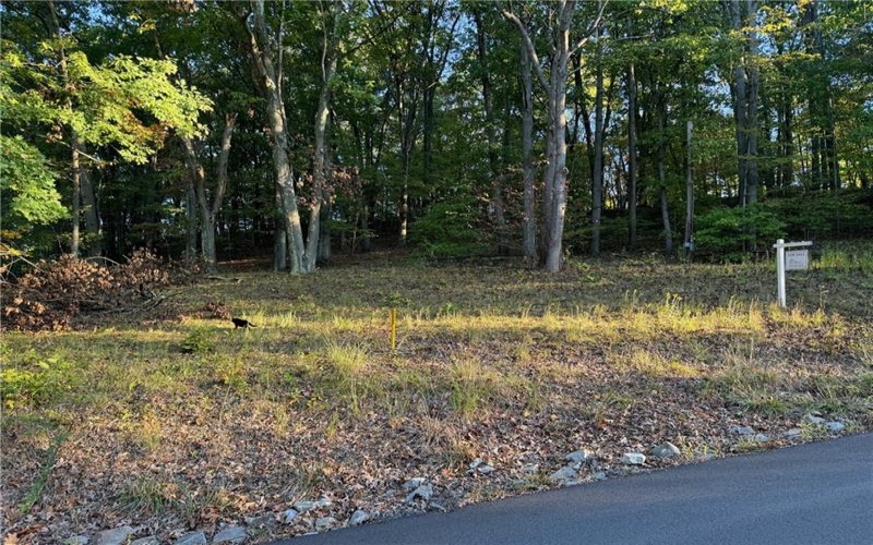 310 Highland Dr, California, 15417, ,Farm-acreage-lot,For Sale,Highland Dr,1675390