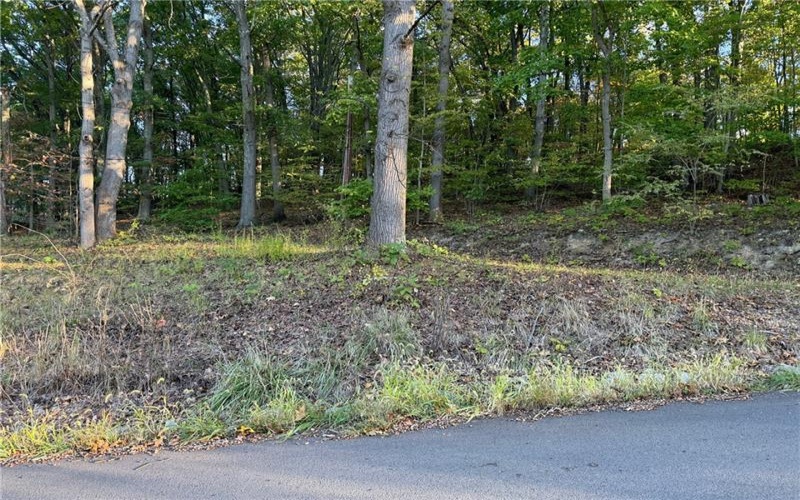 310 Highland Dr, California, 15417, ,Farm-acreage-lot,For Sale,Highland Dr,1675390