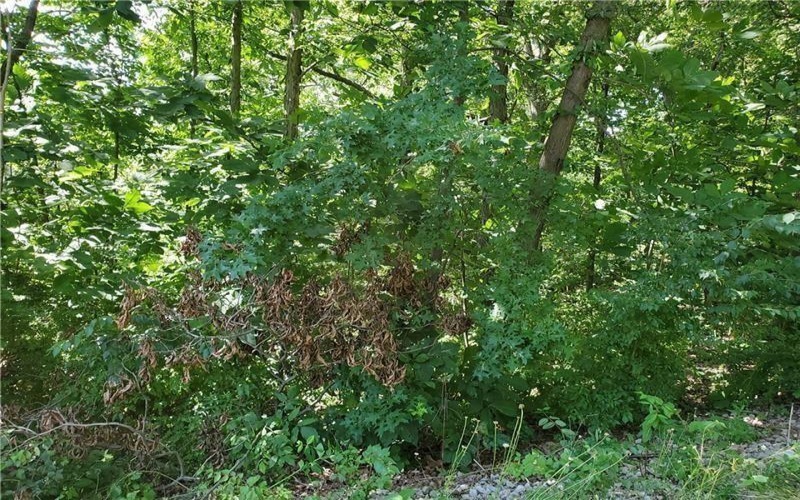 0 Shady Ave, Houston, 15342, ,Farm-acreage-lot,For Sale,Shady Ave,1675587