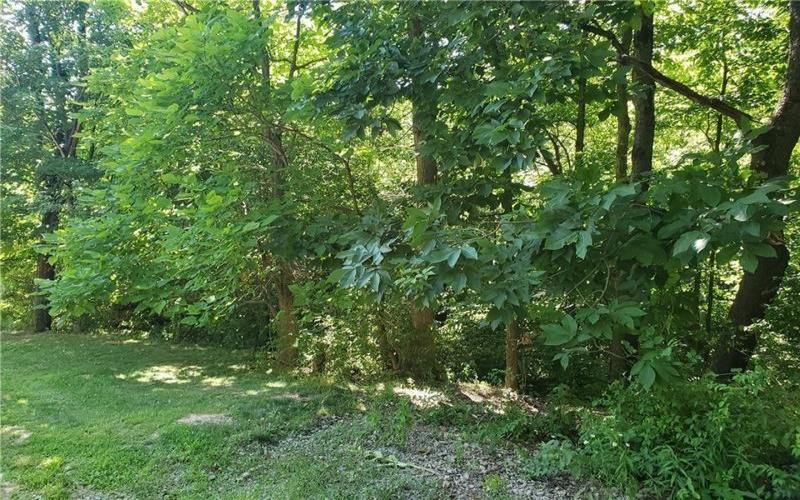 0 Shady Ave, Houston, 15342, ,Farm-acreage-lot,For Sale,Shady Ave,1675587