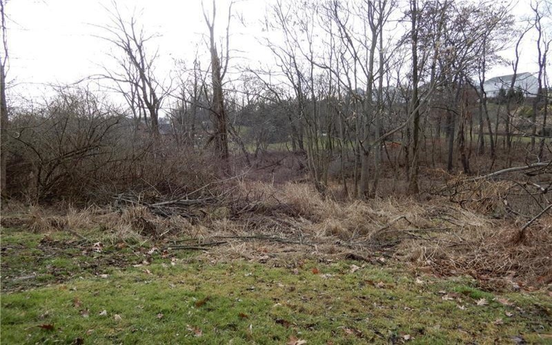 124 DyersStone, Eighty Four, 15330, ,Farm-acreage-lot,For Sale,DyersStone,1676342