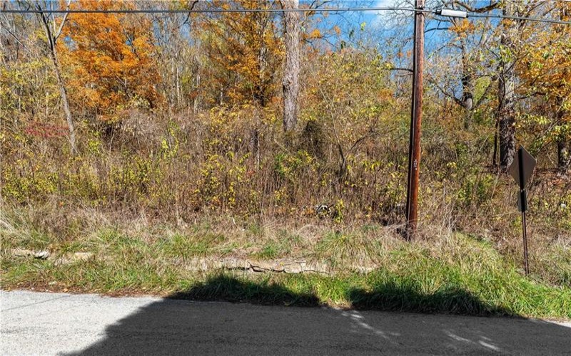 951 Pike Run Rd, Coal Center, 15423, ,Farm-acreage-lot,For Sale,Pike Run Rd,1677103