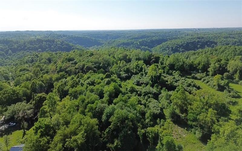 201 Creek Lane Road, Burgettstown, 15021, ,Farm-acreage-lot,For Sale,Creek Lane Road,1654511