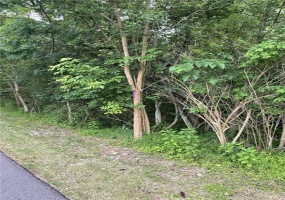 Lot 101 HonorStreet, Long Branch Boro, 15423, ,Farm-acreage-lot,For Sale,HonorStreet,1660248