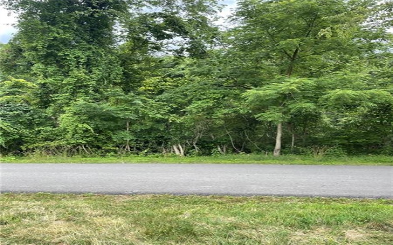Lot 101 HonorStreet, Long Branch Boro, 15423, ,Farm-acreage-lot,For Sale,HonorStreet,1660248