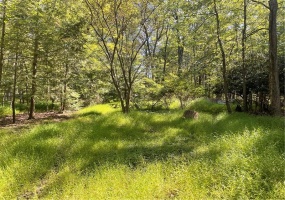 141 Chestnut Ridge Rd, Acme, 15610, ,Farm-acreage-lot,For Sale,Chestnut Ridge Rd,1671005