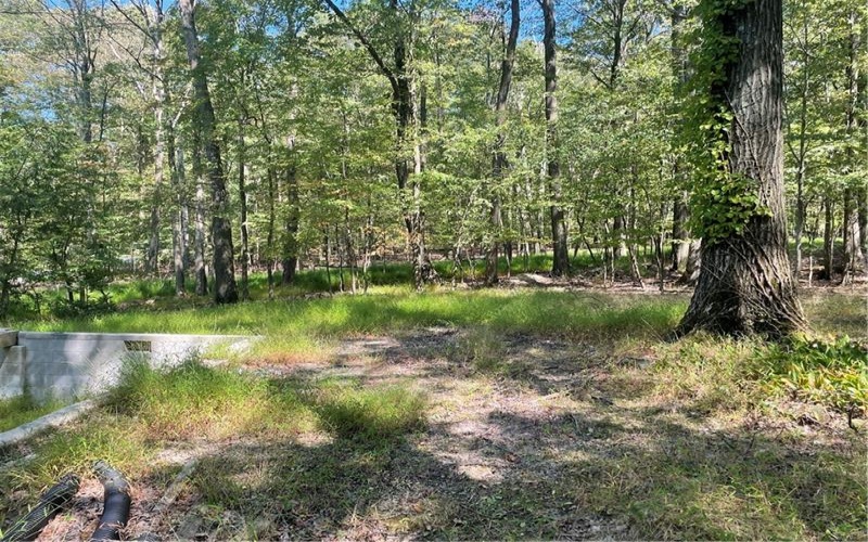 141 Chestnut Ridge Rd, Acme, 15610, ,Farm-acreage-lot,For Sale,Chestnut Ridge Rd,1671005