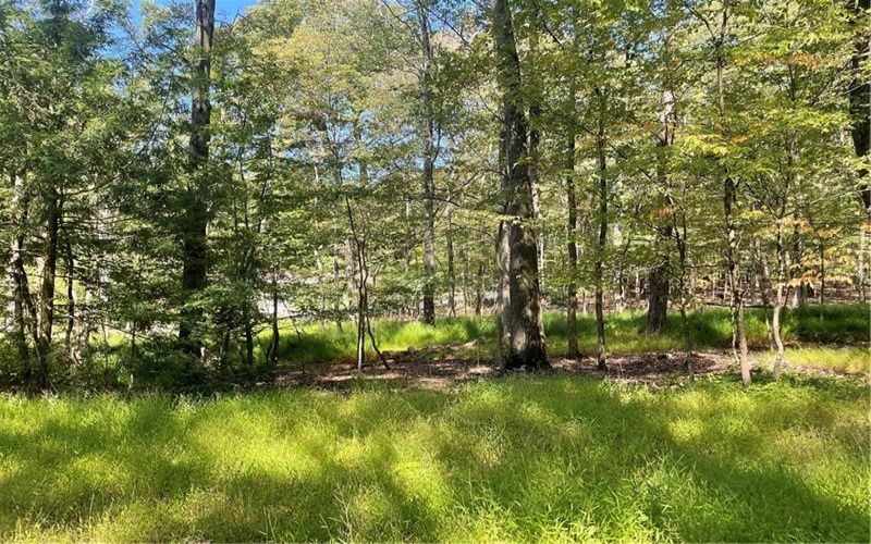 141 Chestnut Ridge Rd, Acme, 15610, ,Farm-acreage-lot,For Sale,Chestnut Ridge Rd,1671005